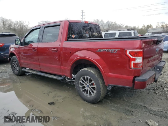 2019 Ford F-150 XL with VIN 1FTEW1EP0KFD31144, listed as a Copart auction lot 46730455 with 48,444 mi miles and Salvage Title. Bid and sale history available at DreamBid. Image 2.