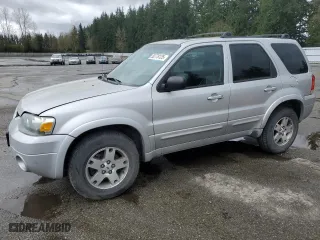 2005 Ford Escape Limited with VIN 1FMYU94195KA42057, listed as a Copart auction lot 50778125 with 137,435 mi miles and Clean Title. Bid and sale history available at carsss.com. Image 1.