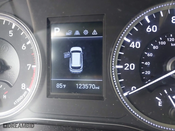 2019 Hyundai Santa Fe SE with VIN 5NMS23AD1KH074388, listed as a IAAI auction lot 41539007 with 123,570 mi miles. Bid and sale history available at carsss.com. Image 16.