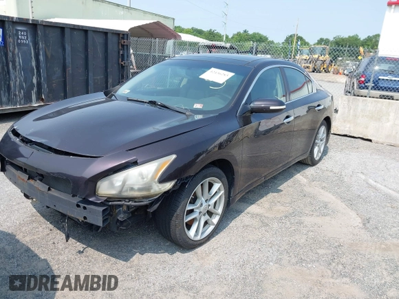 2010 Nissan Maxima SV with VIN 1N4AA5AP1AC872882, listed as a IAAI auction lot 42436283 with Not provided miles and . Bid and sale history available at DreamBid. Image 2.
