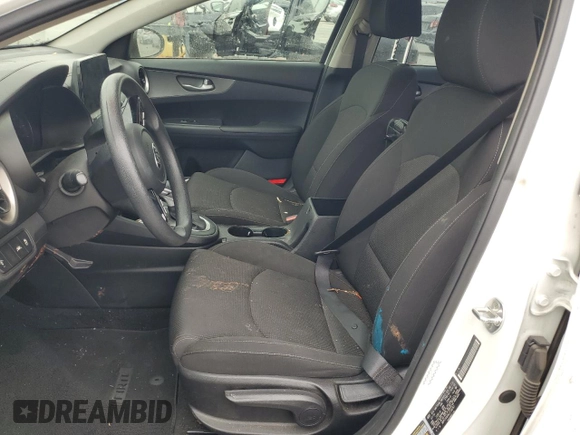 2020 Kia Forte LXS with VIN 3KPF24AD6LE150767, listed as a Copart auction lot 48387965 with 77,271 mi miles and Salvage Title. Bid and sale history available at carsss.com. Image 7.