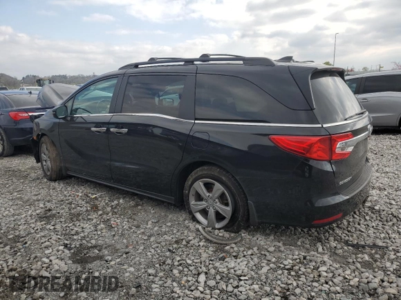2019 Honda Odyssey EX-L with VIN 5FNRL6H70KB132716, listed as a Copart auction lot 52770195 with Not Provided miles and Salvage Title. Bid and sale history available at DreamBid. Image 2.