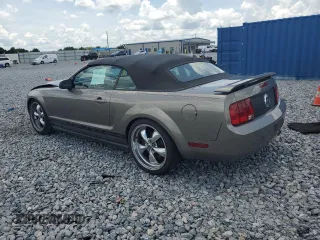 2005 Ford Mustang Deluxe with VIN 1ZVFT84N555215001, listed as a Copart auction lot 61993435 with 85,407 mi miles and Salvage title. Bid and sale history available at DreamBid. Image 2.