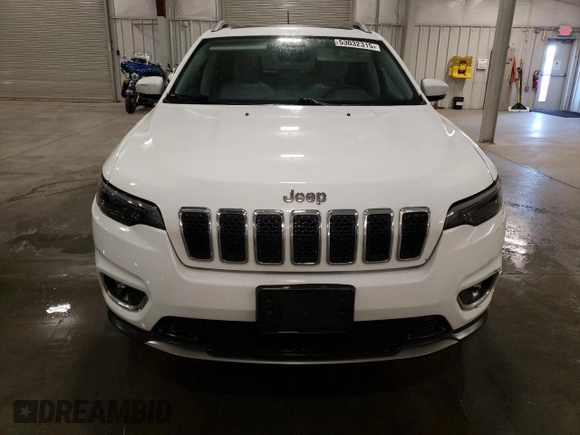 2019 Jeep Cherokee Limited with VIN 1C4PJMDN1KD175054, listed as a Copart auction lot 53032315 with 98,101 mi miles and Clean Title. Bid and sale history available at carsss.com. Image 5.
