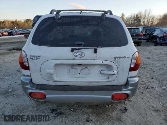 2004 Hyundai Santa Fe with VIN KM8SB12B04U822590, listed as a Copart auction lot 41783245 with 163,315 mi miles and Clean Title. Bid and sale history available at carsss.com. Image 6.