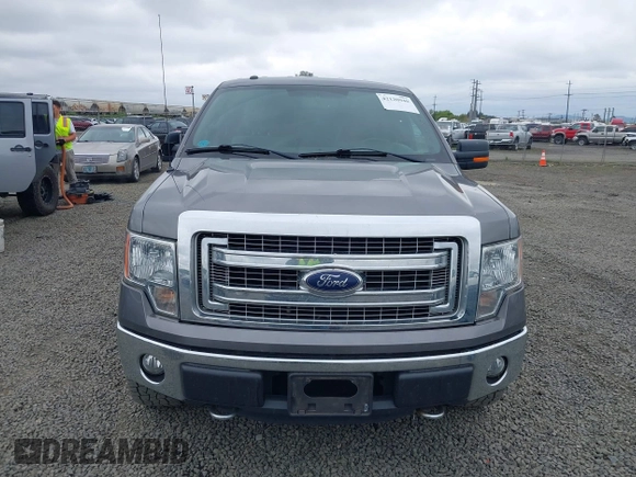 2013 Ford F-150 XL with VIN 1FTFX1EF3DFC95705, listed as a IAAI auction lot 42120940 with 118,955 mi miles. Bid and sale history available at carsss.com. Image 12.