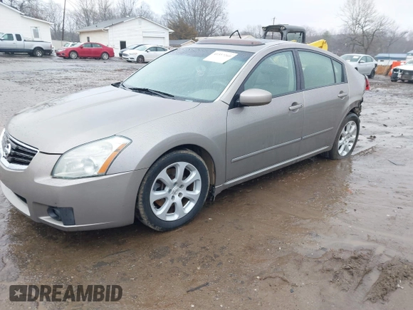 2008 Nissan Maxima 3.5 SL with VIN 1N4BA41E08C816374, listed as a IAAI auction lot 41557260 with 204,207 mi miles. Bid and sale history available at carsss.com. Image 2.