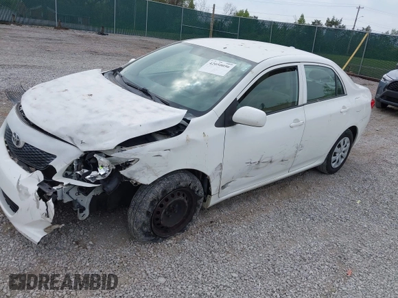 2010 Toyota Corolla with VIN 1NXBU4EEXAZ167898, listed as a IAAI auction lot 42050056 with 100,975 mi miles and . Bid and sale history available at DreamBid. Image 2.