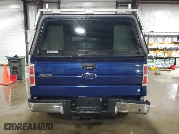 2009 Ford F-150 with VIN 1FTPF14V39KB74154, listed as a Copart auction lot 55580845 with 123,487 mi miles and Salvage title. Bid and sale history available at DreamBid. Image 6.