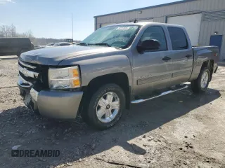 2009 Chevrolet Silverado 1500 LT with VIN 3GCEK23379G230726, listed as a Copart auction lot 50151605 with 203,726 mi miles and Salvage Title. Bid and sale history available at DreamBid. Image 1.