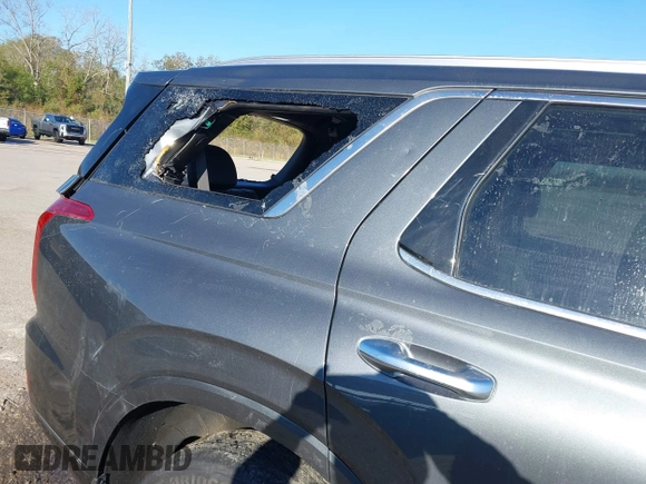 2020 Hyundai Palisade Limited with VIN KM8R5DHE4LU118206, listed as a IAAI auction lot 40976256 with Not provided miles and . Bid and sale history available at DreamBid. Image 6.