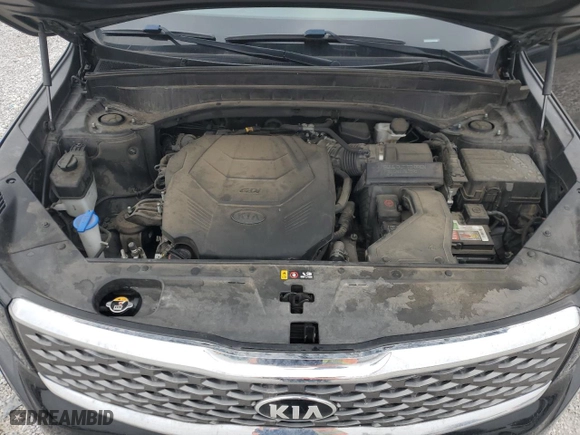 2020 Kia Telluride LX with VIN 5XYP24HCXLG079786, listed as a Copart auction lot 43041695 with 112,307 mi miles and Salvage Title. Bid and sale history available at carsss.com. Image 12.