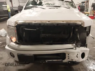 2014 Ford F-150 XL с VIN 1FTEX1EM4EKF52079, выставлен на аукционе IAAI как лот 41644634 с пробегом 152 047 миль миль и . История ставок и продаж доступна на DreamBid. Изображение 6.