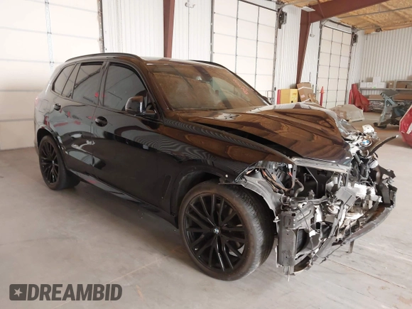2023 BMW X5 xDrive40i with VIN 5UXCR6C07P9P99054, listed as a IAAI auction lot 42077507 with 18,605 mi miles and . Bid and sale history available at DreamBid. Image 1.