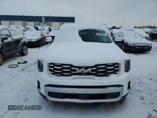 2024 Kia Telluride S with VIN 5XYP6DGC2RG564261, listed as a Copart auction lot 45869985 with 4,606 mi miles and Clean title. Bid and sale history available at DreamBid. Image 5.