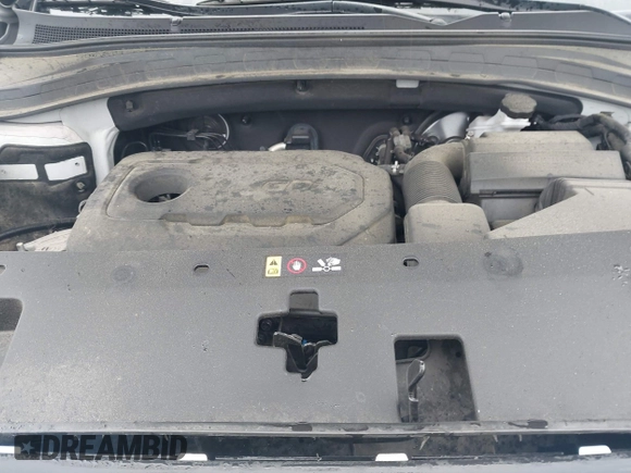 2019 Hyundai Santa Fe SE z VIN 5NMS23AD4KH130517, wystawiony jako IAAI lot #42324854 z przebiegiem 76 963 mil mil oraz . Historia ofert i sprzedaży dostępna na DreamBid. Obrazek 10.