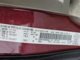 2009 Dodge Grand Caravan with VIN 2D8HN44X59R509640, listed as a Copart auction lot 49845265 with 146,232 mi miles and Clean Title. Bid and sale history available at DreamBid. Image 14.