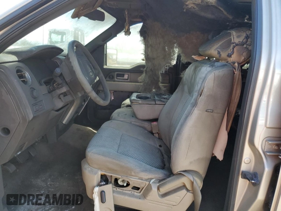 2010 Ford F-150 XL with VIN 1FTEW1C87AKA25821, listed as a Copart auction lot 49008285 with Not Provided miles and Salvage Title. Bid and sale history available at carsss.com. Image 7.