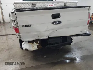 2014 Ford F-150 XL with VIN 1FTEX1CM3EFB15654, listed as a IAAI auction lot 41599447 with 148,481 mi miles and . Bid and sale history available at DreamBid. Image 19.