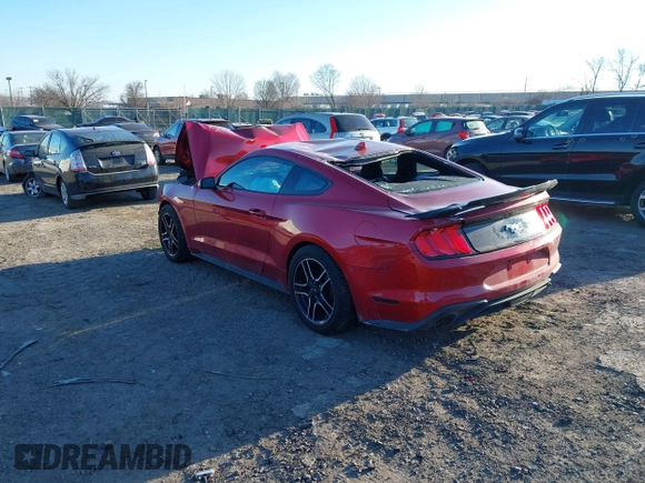 2023 Ford Mustang EcoBoost with VIN 1FA6P8TH0P5113505, listed as a IAAI auction lot 41330154 with 13,456 mi miles. Bid and sale history available at carsss.com. Image 3.
