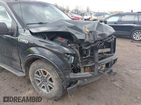 2016 Ford F-150 XLT with VIN 1FTFX1EF5GFC08651, listed as a IAAI auction lot 41898070 with 175,306 mi miles and . Bid and sale history available at carsss.com. Image 17.