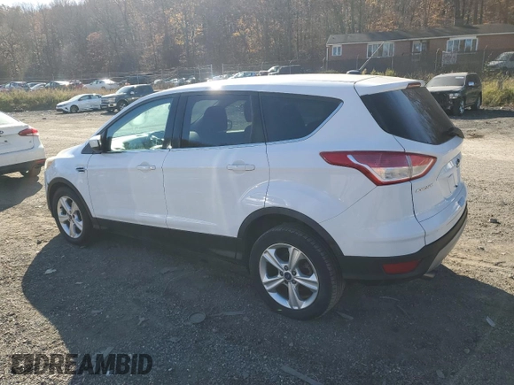 2014 Ford Escape SE with VIN 1FMCU0GX3EUA60323, listed as a Copart auction lot 80491164 with 66,589 mi miles and Clean Title. Bid and sale history available at carsss.com. Image 2.