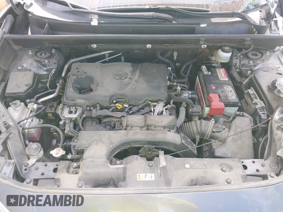 2019 Toyota RAV4 XLE with VIN JTMW1RFV8KD034763, listed as a IAAI auction lot 41783300 with 78,925 mi miles. Bid and sale history available at carsss.com. Image 10.