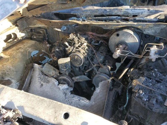 1998 Dodge Ram 1500 with VIN 1B7HC16X3WS565215, listed as a Copart auction lot 42977295 with 0 mi miles and Salvage Title. Bid and sale history available at carsss.com. Image 12.