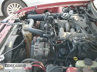 2003 Ford Mustang Standard with VIN 1FAFP40403F411552, listed as a IAAI auction lot 42829909 with 217,558 mi miles and . Bid and sale history available at DreamBid. Image 20.
