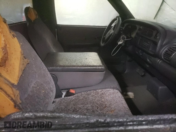 2001 Dodge 1500 with VIN 1B7HC16YX1S142617, listed as a Copart auction lot 45110595 with Not provided miles and Salvage title. Bid and sale history available at DreamBid. Image 10.