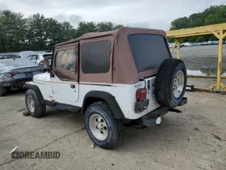 1993 Jeep Wrangler z VIN 1J4FY29S6PP245917, wystawiony jako Copart lot #58805235 z przebiegiem 162 170 mil mil oraz Czysty tytuł • Clean title. Historia ofert i sprzedaży dostępna na DreamBid. Obrazek 2.