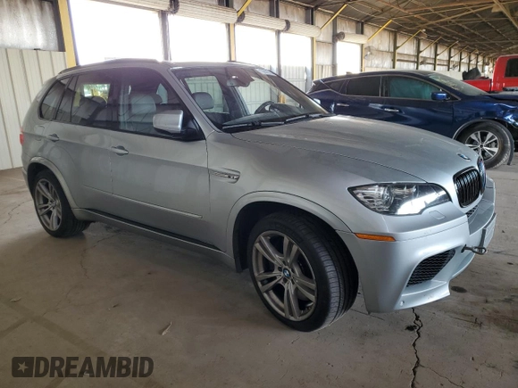 2010 BMW X5 M with VIN 5YMGY0C55ALK25262, listed as a Copart auction lot 78906314 with 115,133 mi miles and Clean Title. Bid and sale history available at carsss.com. Image 4.
