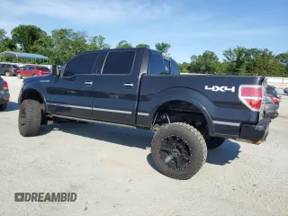 2010 Ford F-150 XL with VIN 1FTFW1EV7AFD74218, listed as a Copart auction lot 61984735 with 173,577 mi miles and Salvage title. Bid and sale history available at DreamBid. Image 2.