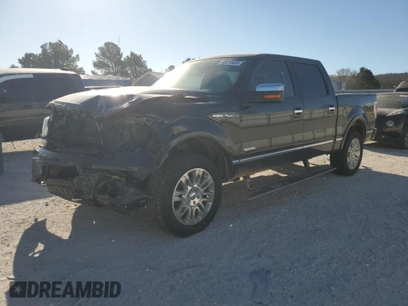 2011 Ford F-150 XLT with VIN 1FTFW1ET5BFA91591, listed as a Copart auction lot 49219635 with 141,516 mi miles and Clean Title. Bid and sale history available at carsss.com. Image 1.