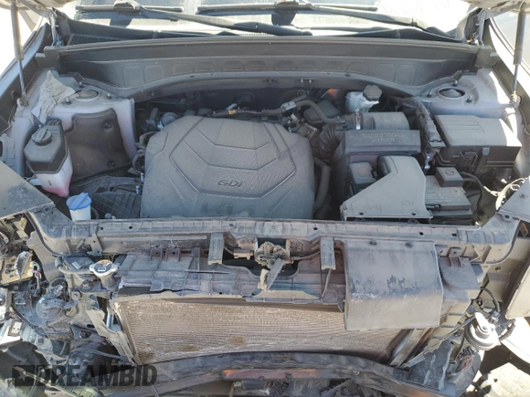 2022 Kia Telluride SX with VIN 5XYP5DHCXNG205946, listed as a Copart auction lot 49420425 with 49,287 mi miles and Salvage Title. Bid and sale history available at carsss.com. Image 12.