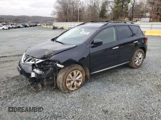 2013 Nissan Murano SV with VIN JN8AZ1MW0DW311207, listed as a Copart auction lot 44683965 with 115,766 mi miles and Salvage Title. Bid and sale history available at carsss.com. Image 1.