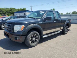 2010 Ford F-150 XL with VIN 1FTEX1E82AFB48073, listed as a Copart auction lot 62184055 with 249,363 mi miles and Clean title. Bid and sale history available at DreamBid. Image 1.