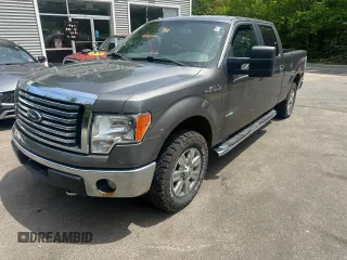 2012 Ford F-150 XL z VIN 1FTFW1ET2CFC43294, wystawiony jako Copart lot #62888775 z przebiegiem 219 173 mil mil oraz Czysty tytuł • Clean title. Historia ofert i sprzedaży dostępna na DreamBid. Obrazek 2.