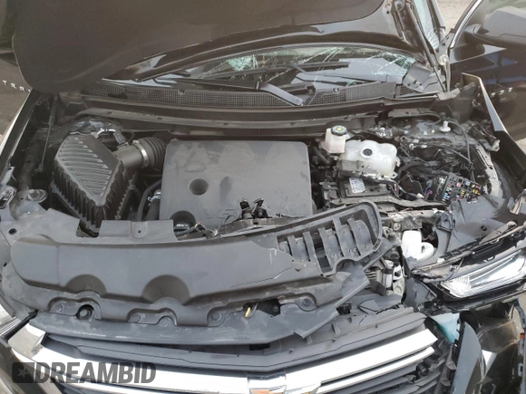 2023 Chevrolet Traverse LS with VIN 1GNERFKW6PJ302596, listed as a Copart auction lot 48978035 with Not Provided miles and Salvage Title. Bid and sale history available at DreamBid. Image 12.