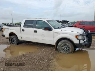 2013 Ford F-150 XL with VIN 1FTFW1EF8DFA45783, listed as a Copart auction lot 64494215 with 194,441 mi miles and Clean title. Bid and sale history available at DreamBid. Image 4.