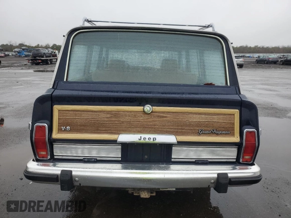 1987 Jeep Grand Wagoneer with VIN 1JCNJ15U7HT006097, listed as a Copart auction lot 89191925 with 119,168 mi miles and Salvage title. Bid and sale history available at DreamBid. Image 6.