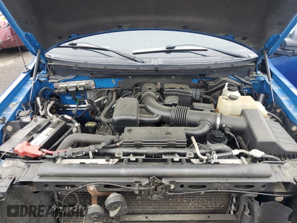 2010 Ford F-150 XL with VIN 1FTFX1EV3AFC01745, listed as a Copart auction lot 55466205 with 125,836 mi miles and Clean Title. Bid and sale history available at carsss.com. Image 11.