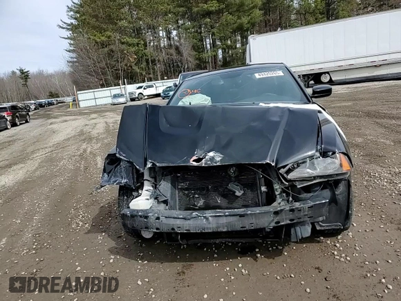 2013 Dodge Charger SE with VIN 2C3CDXBG1DH725486, listed as a Copart auction lot 49420265 with 215,154 mi miles and Salvage Title. Bid and sale history available at DreamBid. Image 11.