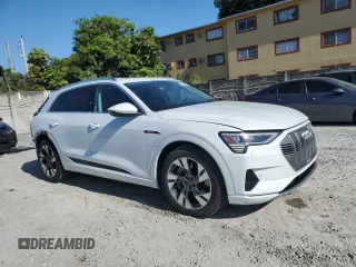 2022 Audi e-tron Premium z VIN WA1AAAGE0NB023860, wystawiony jako Copart lot #57395415 z przebiegiem 52 335 mil mil oraz Nie do naprawy. Historia ofert i sprzedaży dostępna na DreamBid. Obrazek 4.