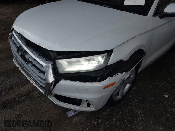 2020 Audi Q5 Premium Plus z VIN WA1BNAFY0L2105010, wystawiony jako IAAI lot #42121483 z przebiegiem 64 244 mil mil oraz . Historia ofert i sprzedaży dostępna na DreamBid. Obrazek 18.