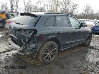 2016 Audi SQ5 Premium Plus with VIN WA1CCAFP0GA089002, listed as a Copart auction lot 43013245 with 195,529 mi miles and Salvage Title. Bid and sale history available at carsss.com. Image 3.
