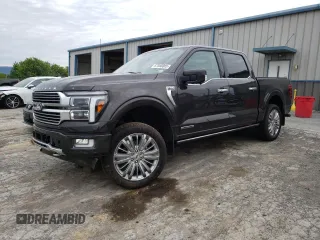 2024 Ford F-150 with VIN 1FTFW7LD2RFB49696, listed as a Copart auction lot 57566085 with 5,378 mi miles and Salvage title. Bid and sale history available at DreamBid. Image 1.
