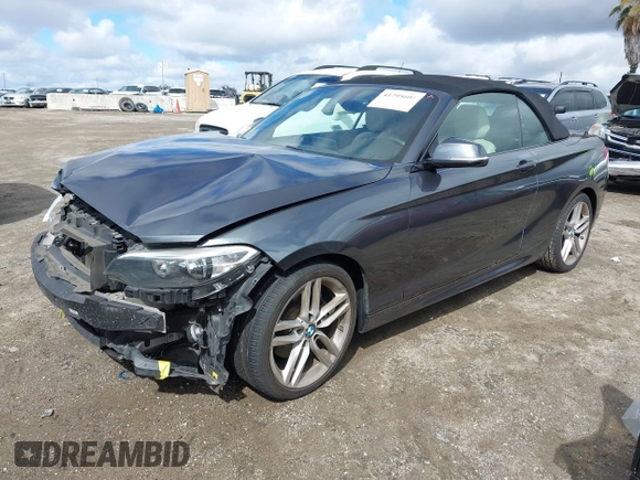 2016 BMW 2 Series 228i xDrive with VIN WBA1L9C5XGV767324, listed as a IAAI auction lot 41795604 with 133,276 mi miles. Bid and sale history available at carsss.com. Image 2.