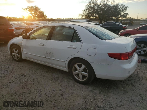 2005 Honda Accord EX with VIN 1HGCM56785A179345, listed as a Copart auction lot 87933375 with 301,442 mi miles and Clean Title. Bid and sale history available at DreamBid. Image 2.