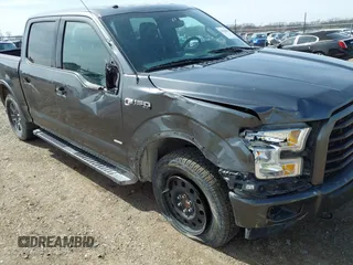 2017 Ford F-150 XL with VIN 1FTEW1EP5HFC13843, listed as a IAAI auction lot 41846415 with 125,277 mi miles. Bid and sale history available at carsss.com. Image 6.